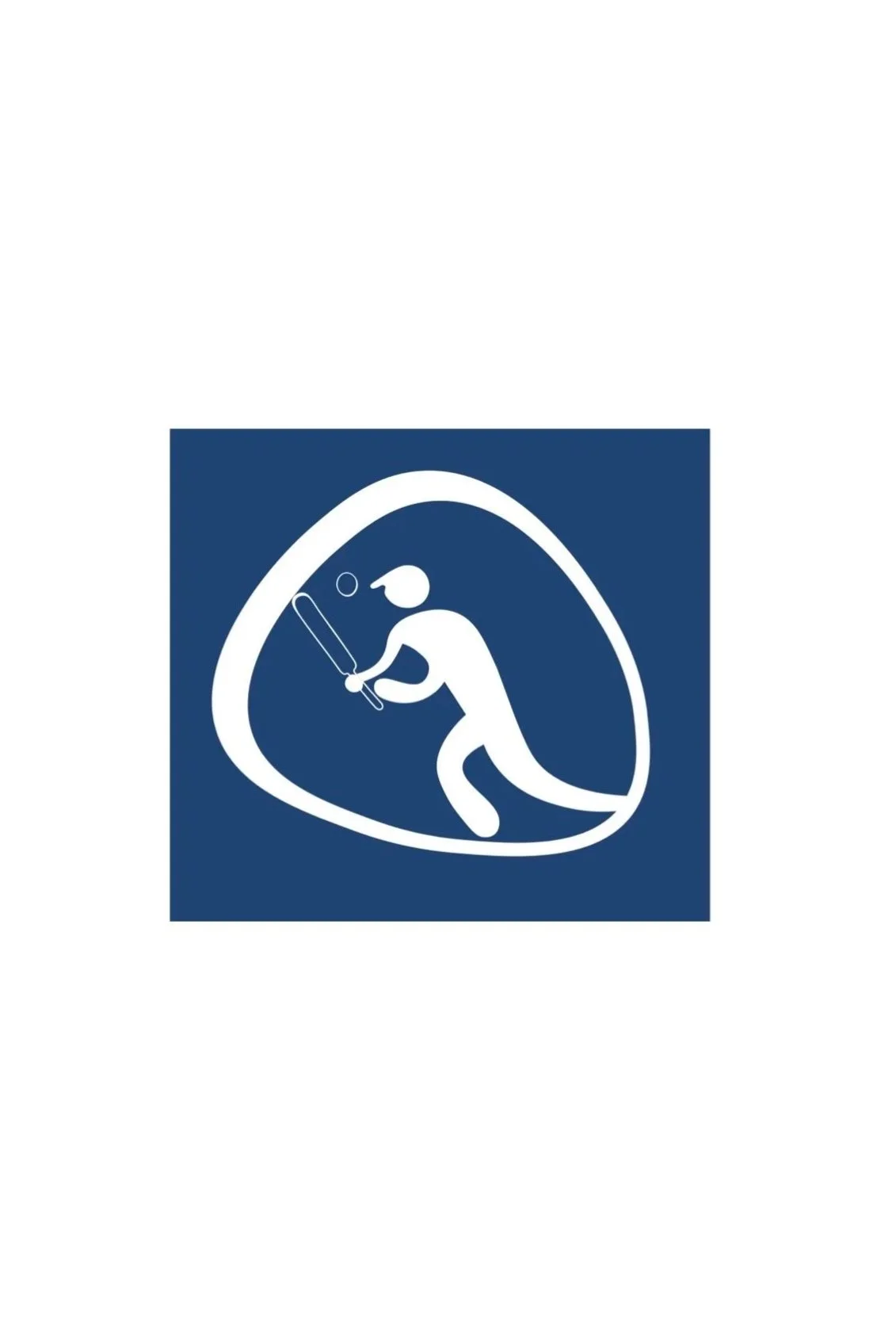 Rio 2016 Olympics Inspired Cricket Pictogram