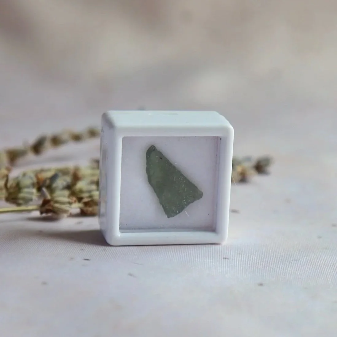Natural olive-green Moldavite specimen displayed in a white square display box.