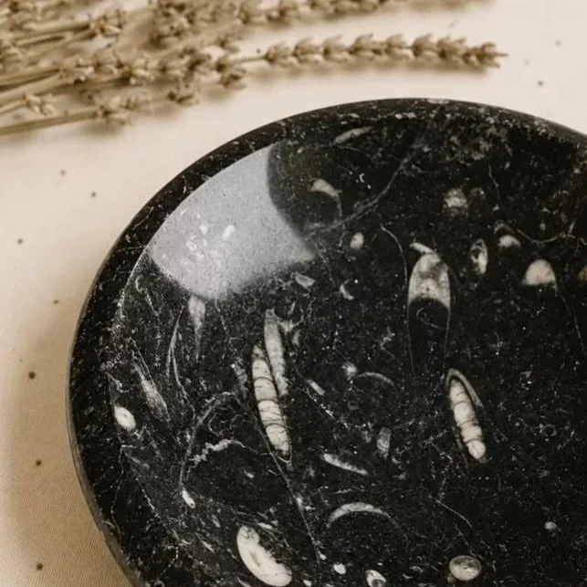 Decorative fossil bowl featuring ancient marine Orthoceras fossils preserved in natural stone