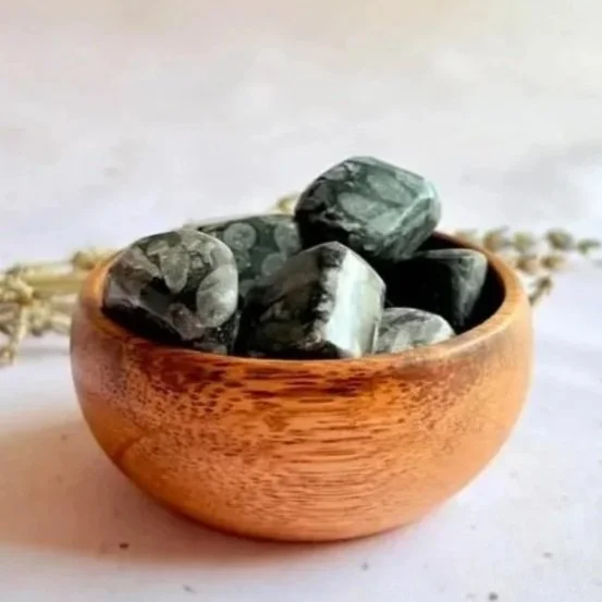 Coral | Fossilised Tumble