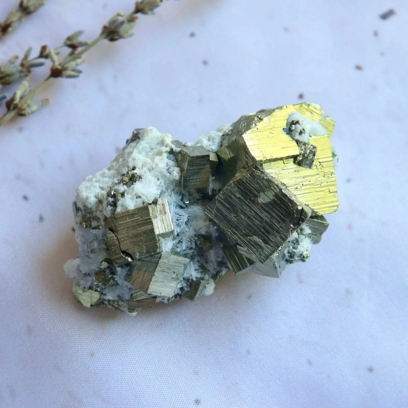 Pyrite in Quartz specimen showing golden metallic crystal formations