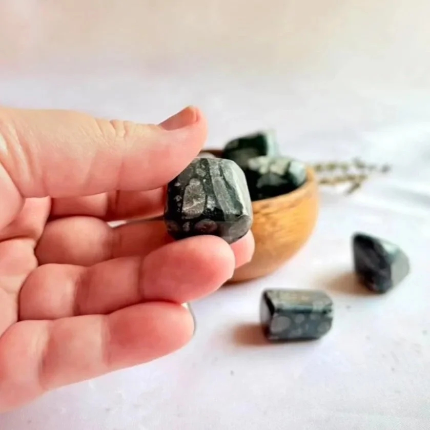 Polished Fossil Coral crystal tumble for crystal collections