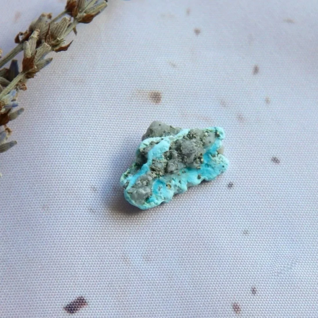 Small Castle Dome Turquoise specimen