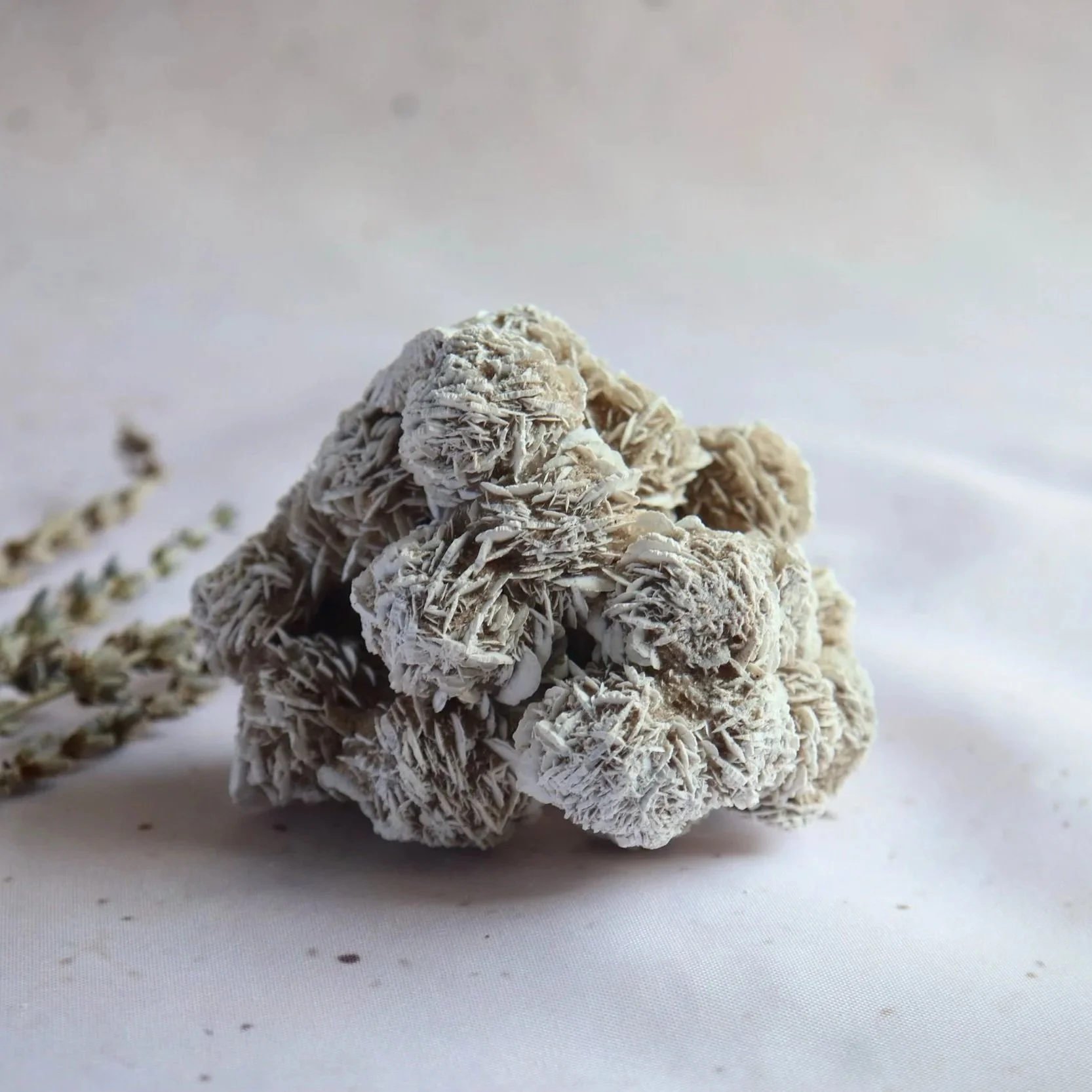 Natural Desert Rose cluster photographed from the side to show its sculptural shape and textured formation.