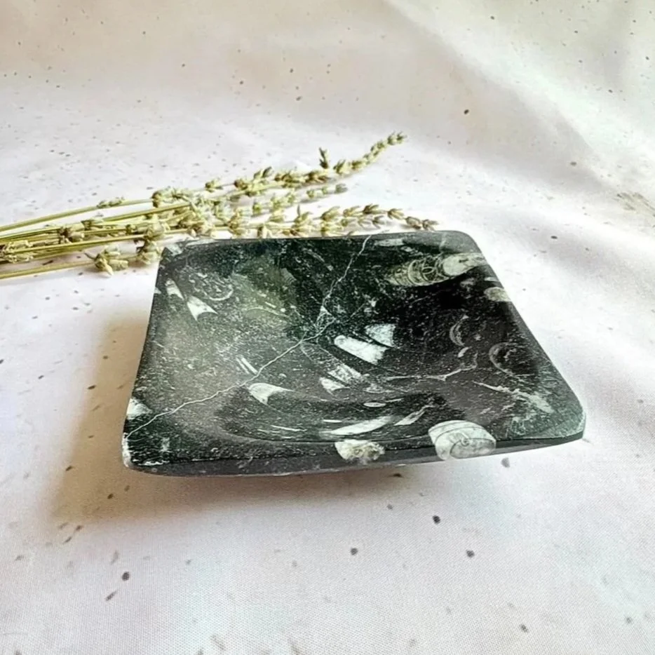 Orthoceras fossil square trinket dish for jewellery, crystals, and keepsakes