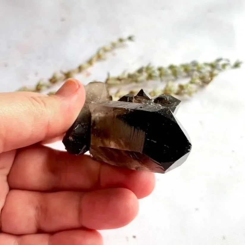 Natural Smokey Quartz cluster with sparkling smoky quartz points
