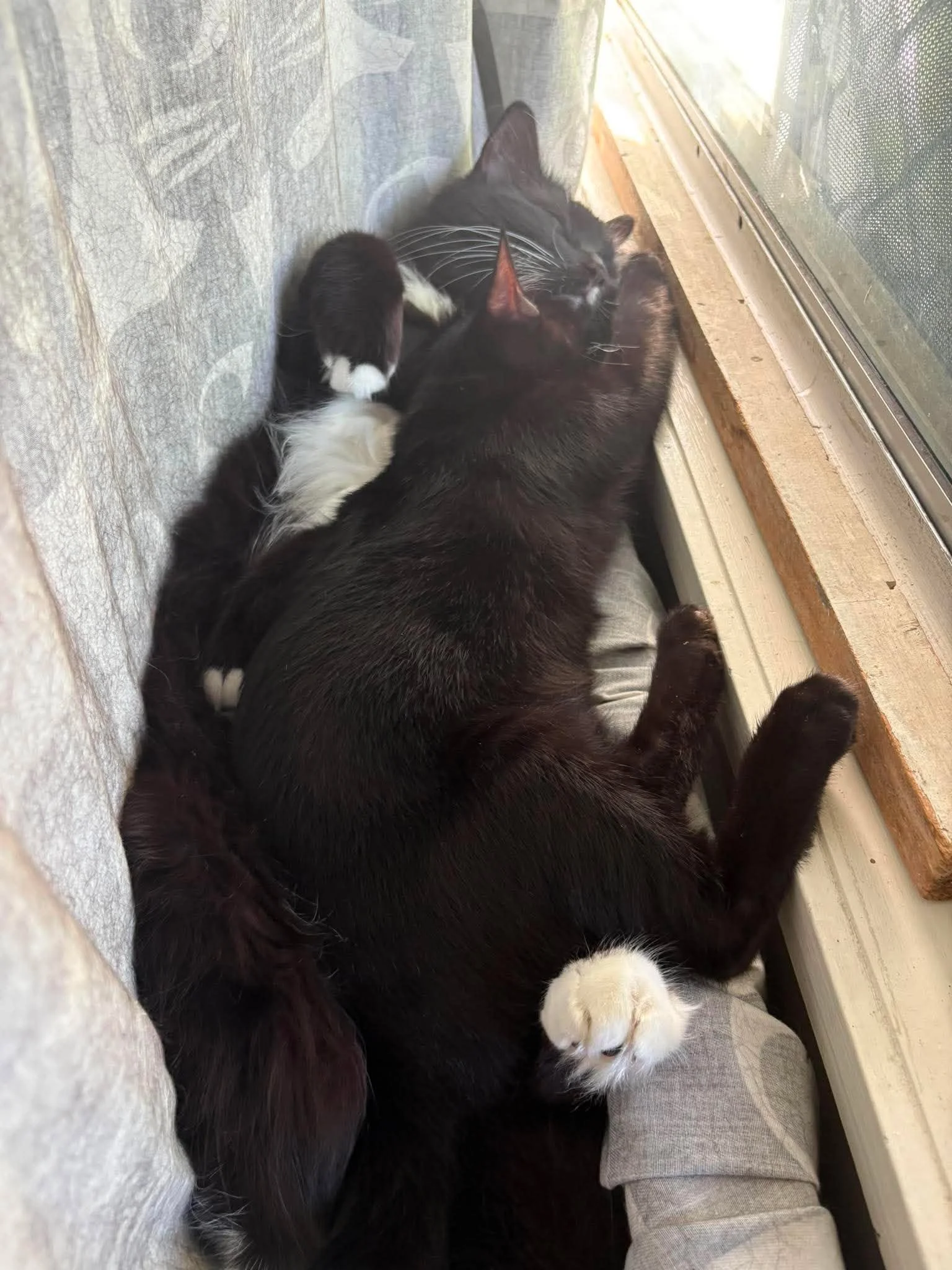Arli & Karma