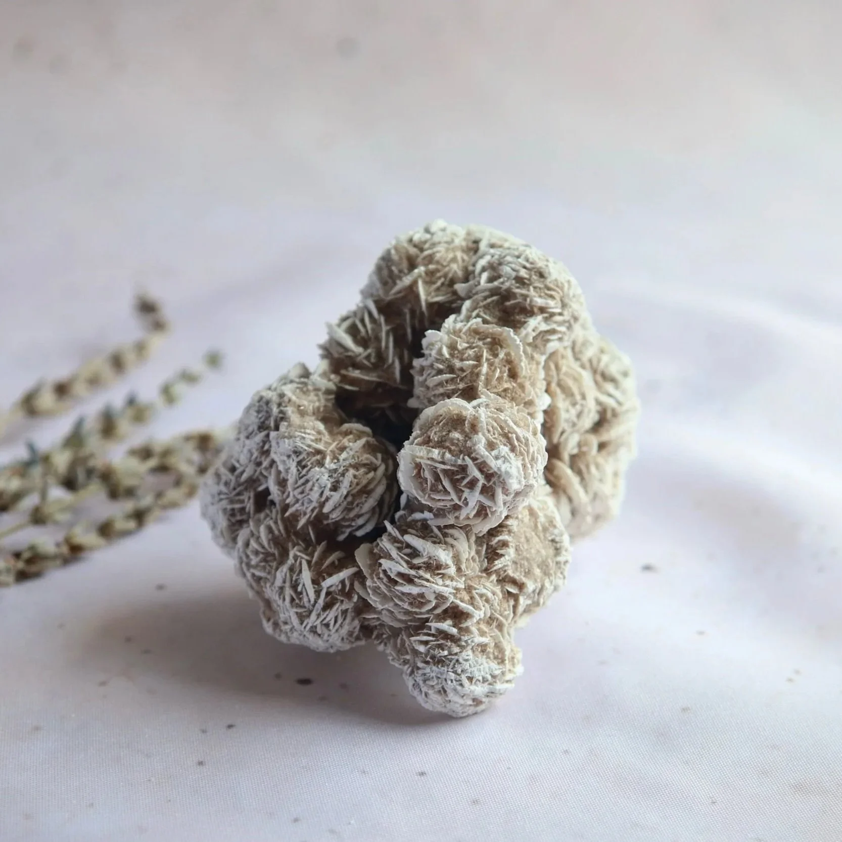 Exact Desert Rose mineral cluster measuring approximately 9 × 6 cm, showing its natural layered, rose-like formation.
