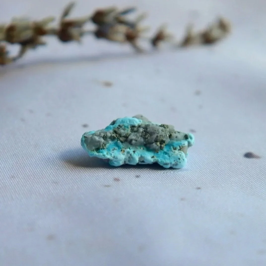 Boxed Castle Dome Turquoise mineral specimen measuring approximately 2.5cm across the display box