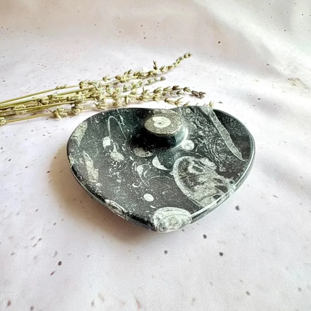 Natural Orthoceras fossil trinket dish in a polished heart shape