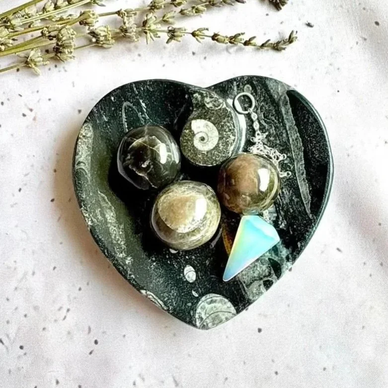 Orthoceras fossil heart dish featuring genuine prehistoric marine fossils