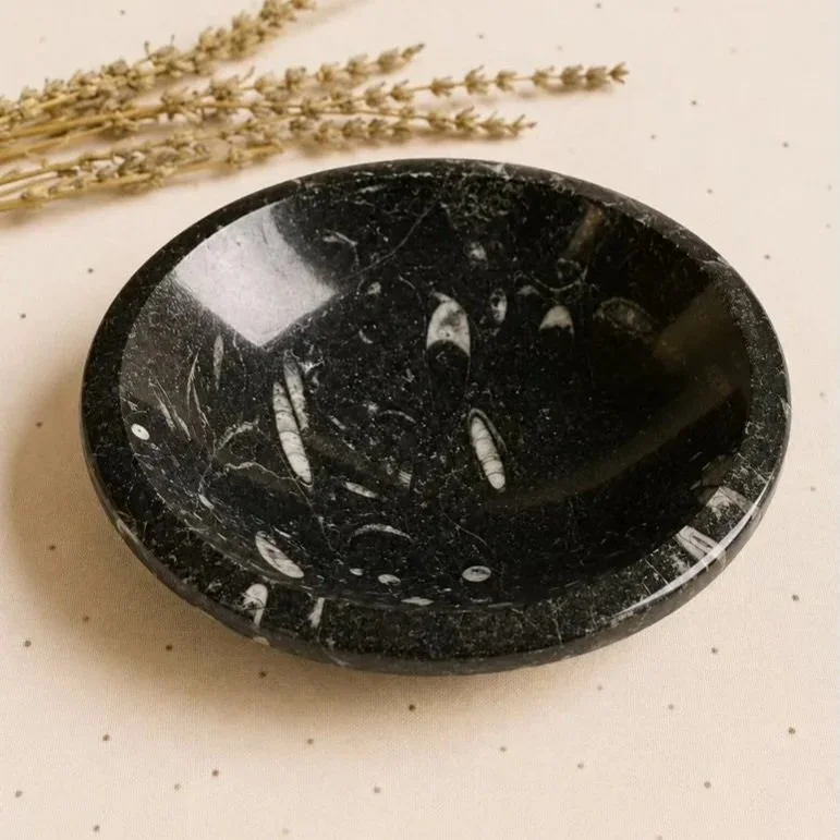 Orthoceras Fossil Bowl from Morocco measuring approximately 12cm wide and 3cm high