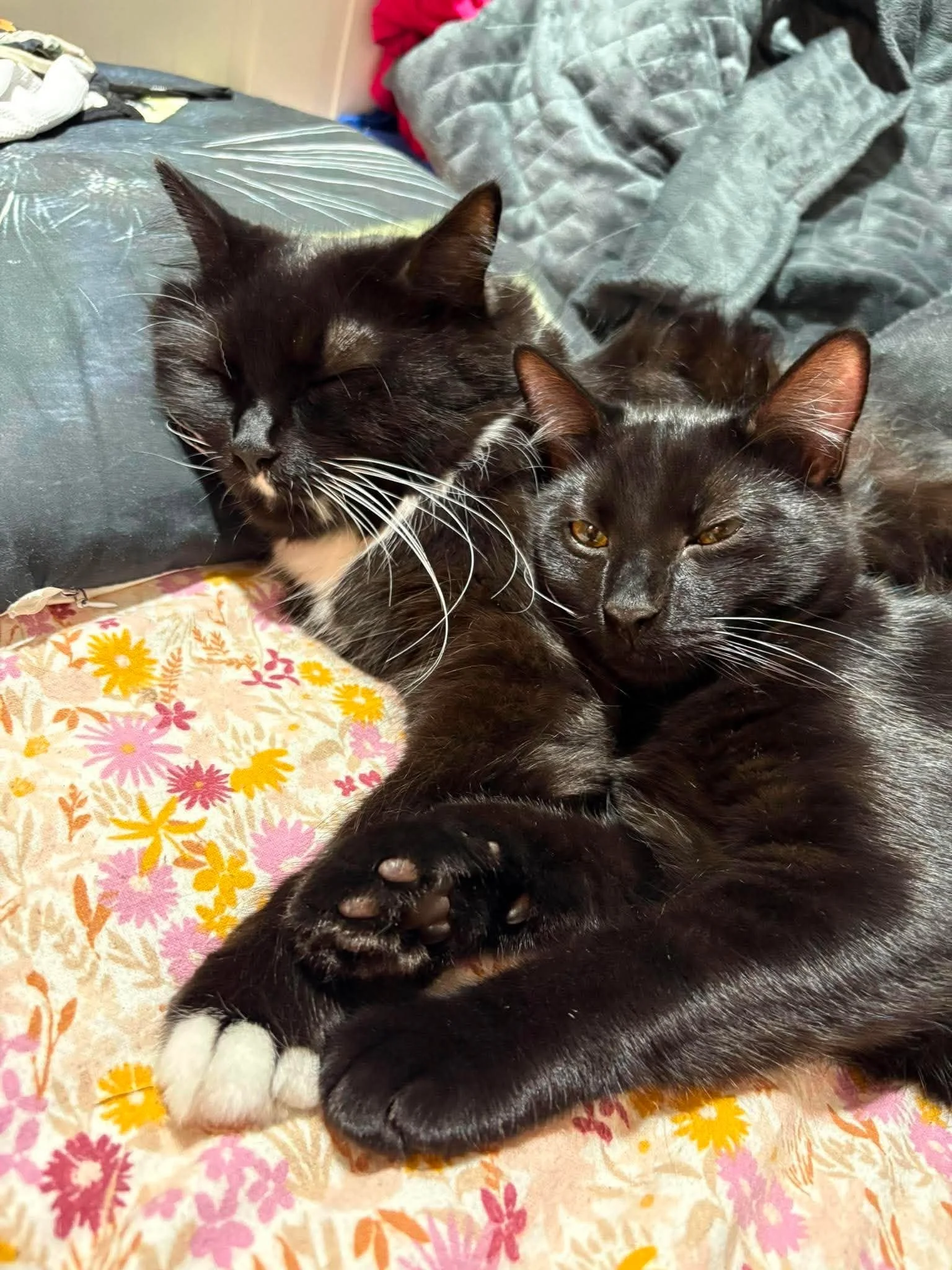 Arli & Karma