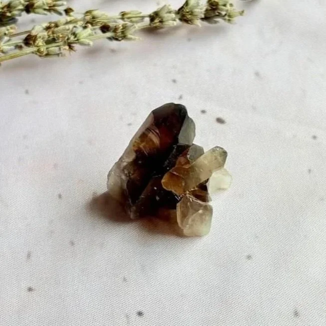 Small Smokey Quartz crystal cluster associated with grounding and protection