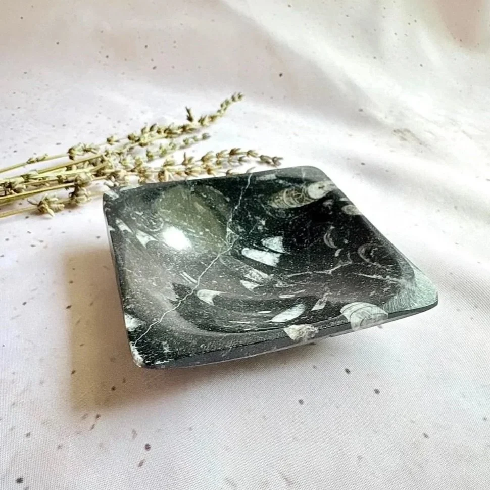 Natural Orthoceras fossil square trinket dish measuring approximately 10cm × 10cm