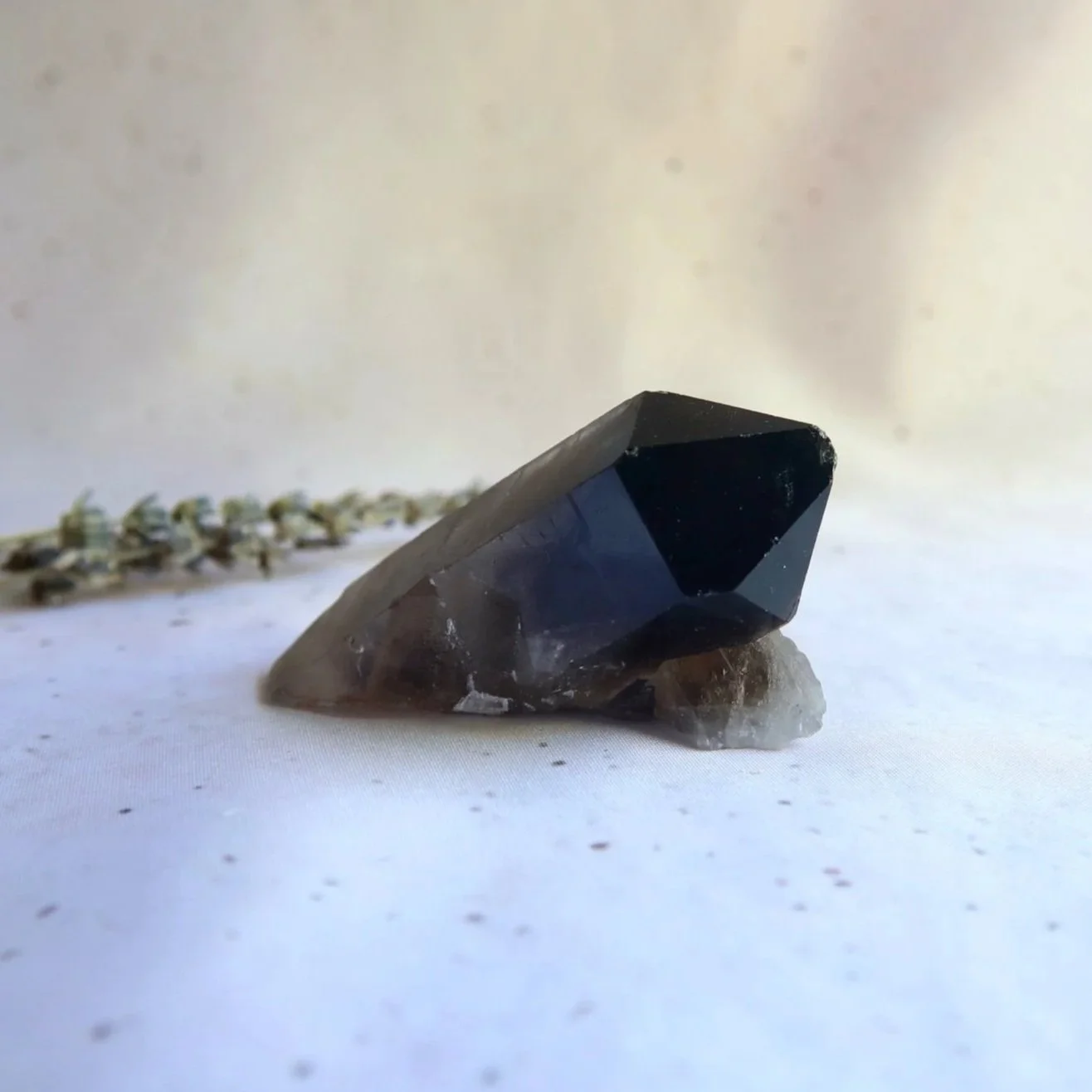 Smokey Quartz A Grade crystal cluster with natural crystal points