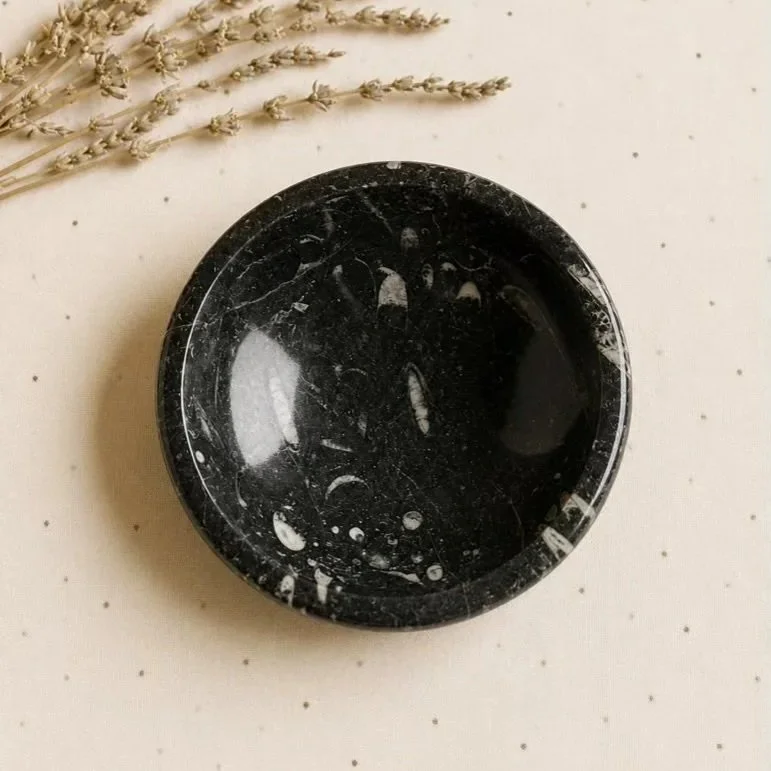Natural fossil bowl displaying preserved Orthoceras fossils in polished stone