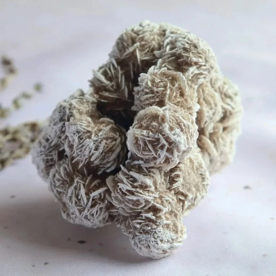 Desert Rose | Crystal Cluster