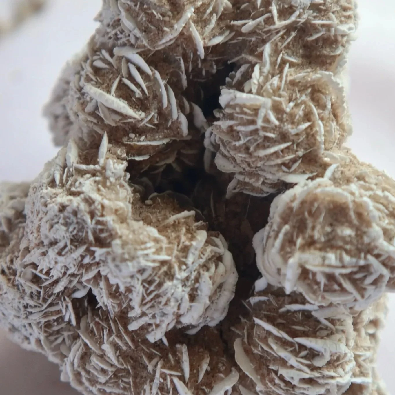 Close-up of the earthy, petal-shaped layers of a natural Desert Rose gypsum specimen.