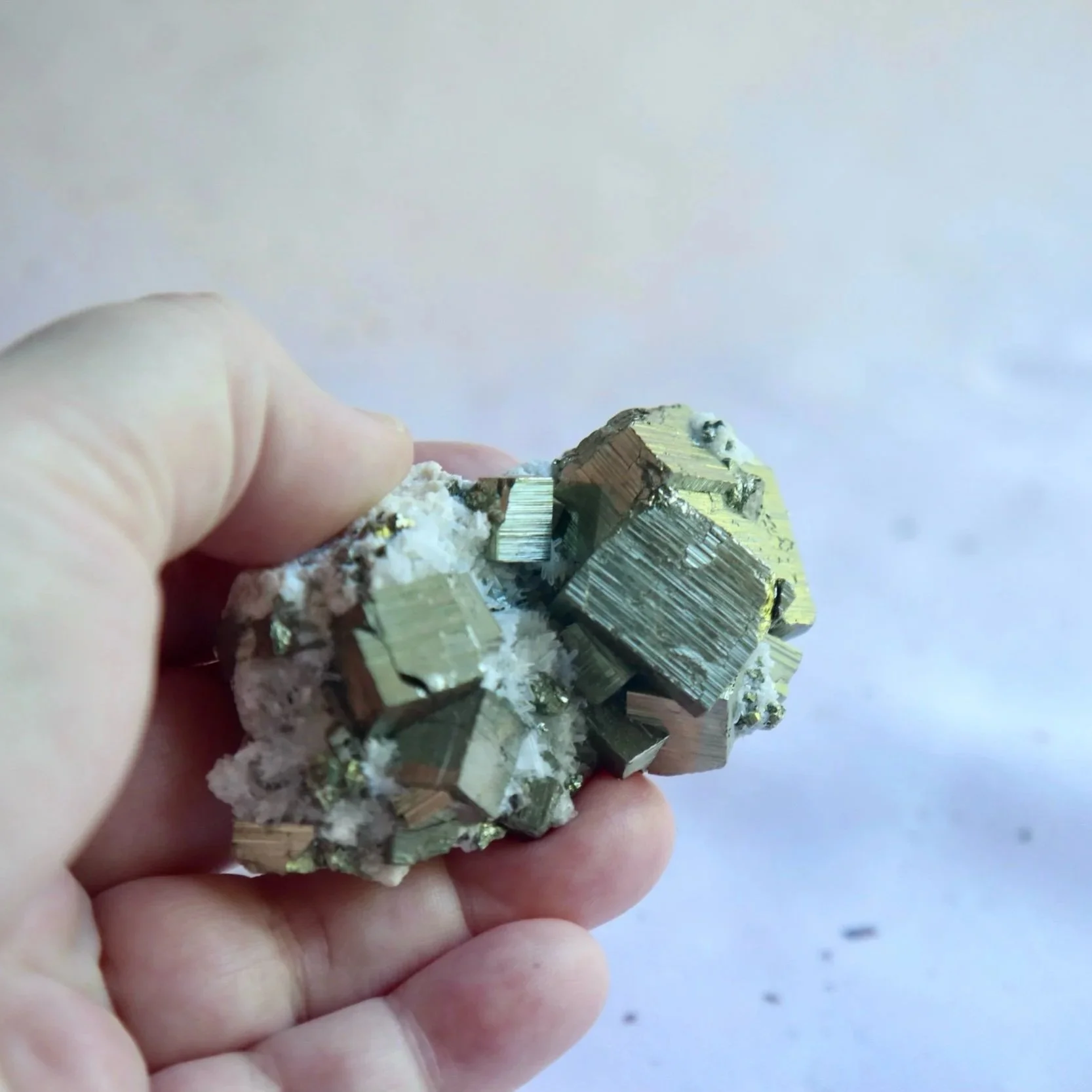 Natural Pyrite crystals embedded in Quartz matrix