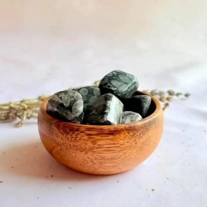 Natural Fossilised Coral crystal tumble with unique fossil patterns