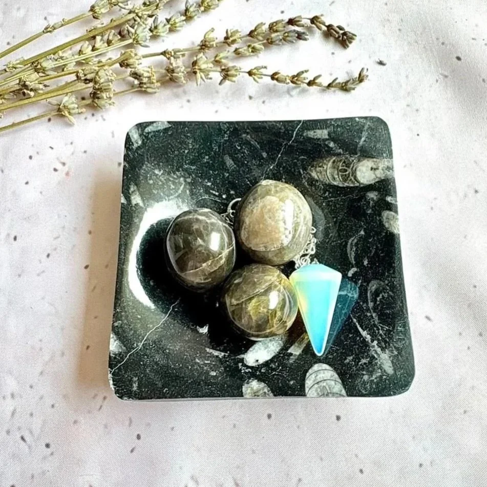 Natural fossil trinket dish made from Orthoceras fossil stone
