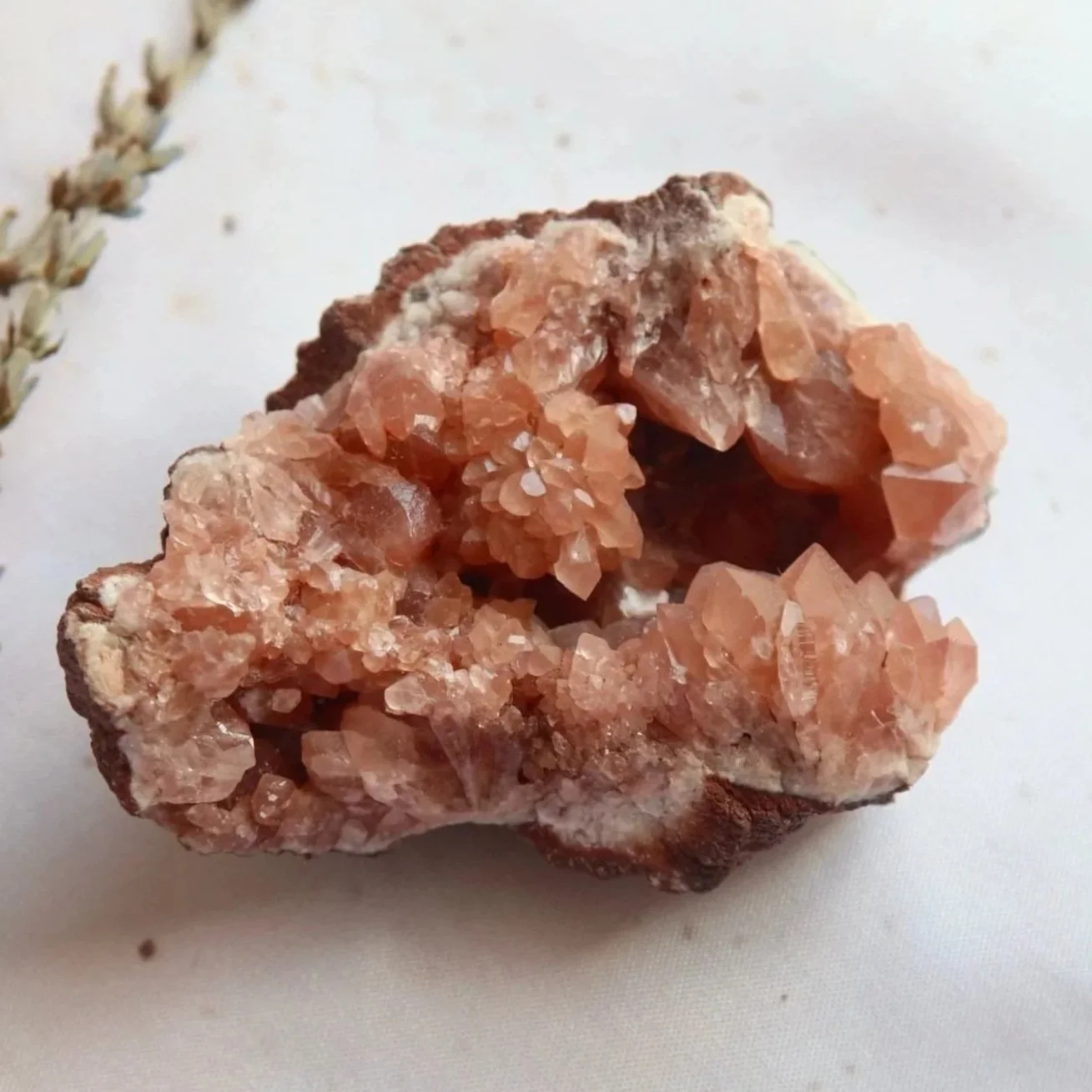 Pink Amethyst | Crystal Cluster