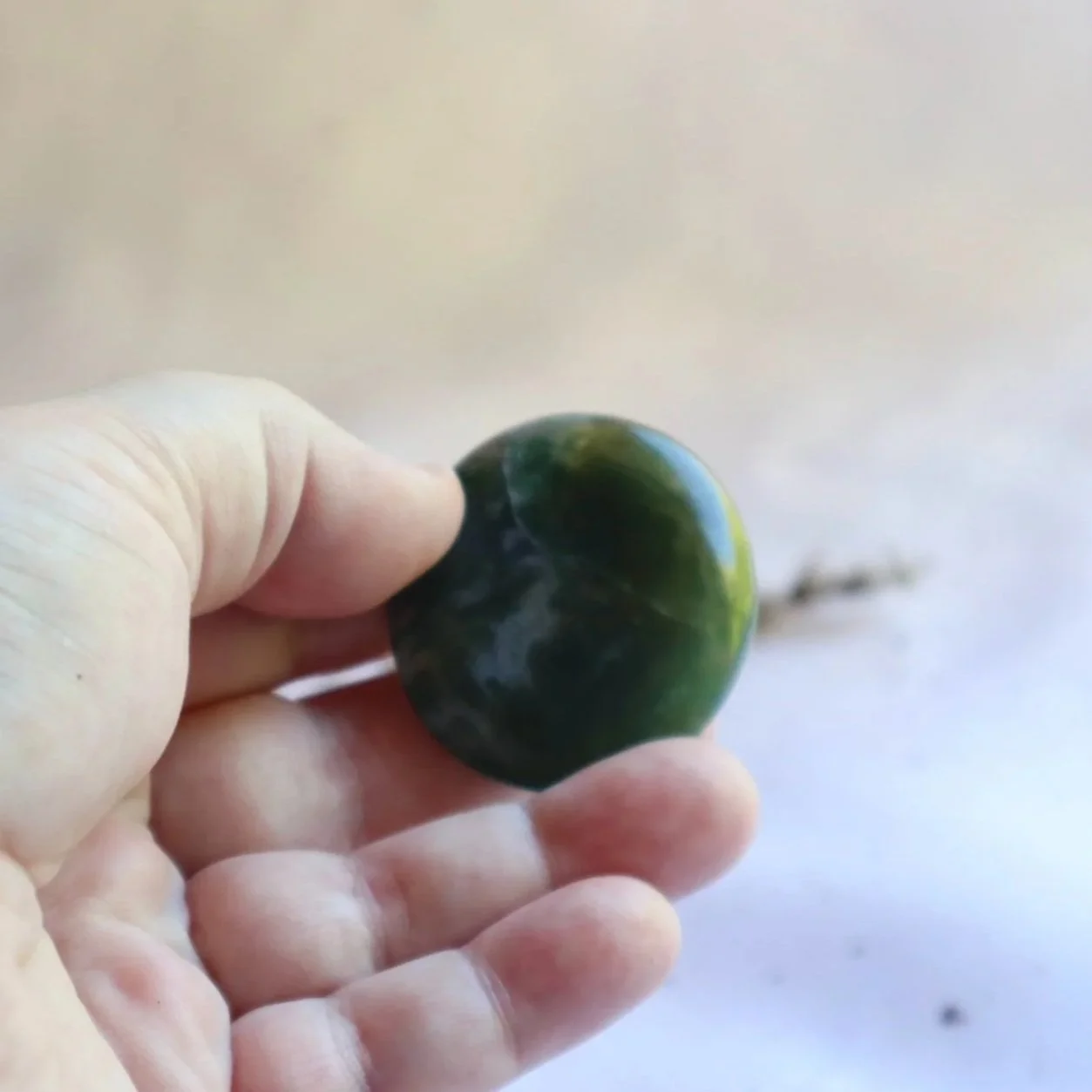 Natural Moss Agate flat stone held in hand for approximate size reference