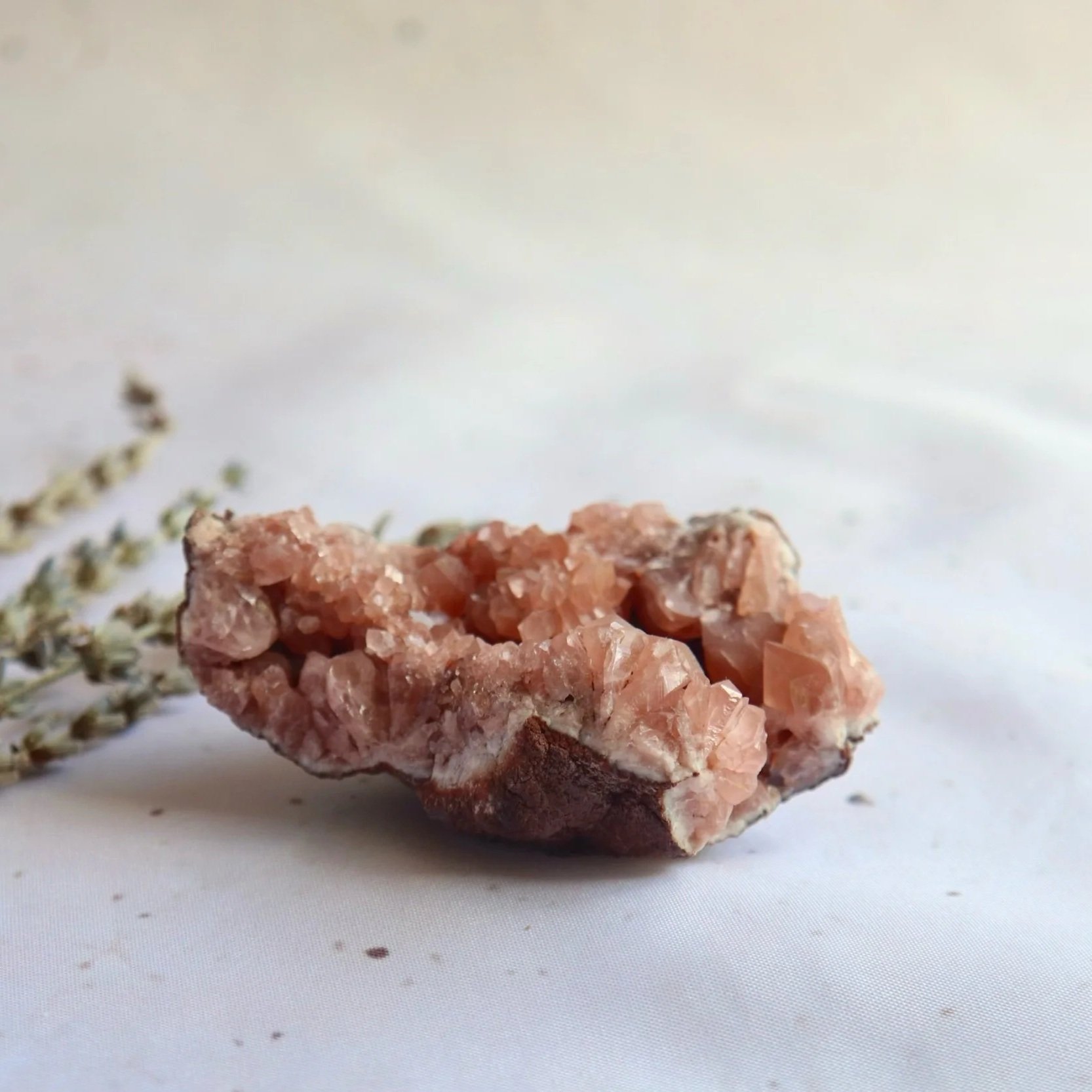 Exact Pink Amethyst specimen displayed from the side, highlighting its warm pink crystals and earthy natural base.