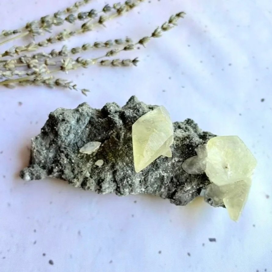 Natural Dogtooth Calcite specimen featuring translucent calcite crystals on dark matrix
