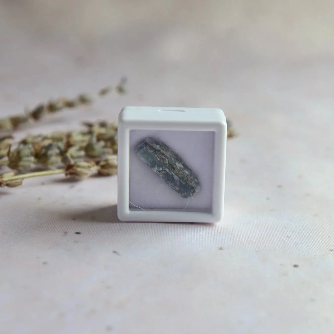 Small natural Blue Kyanite specimen displayed in a white square presentation box.