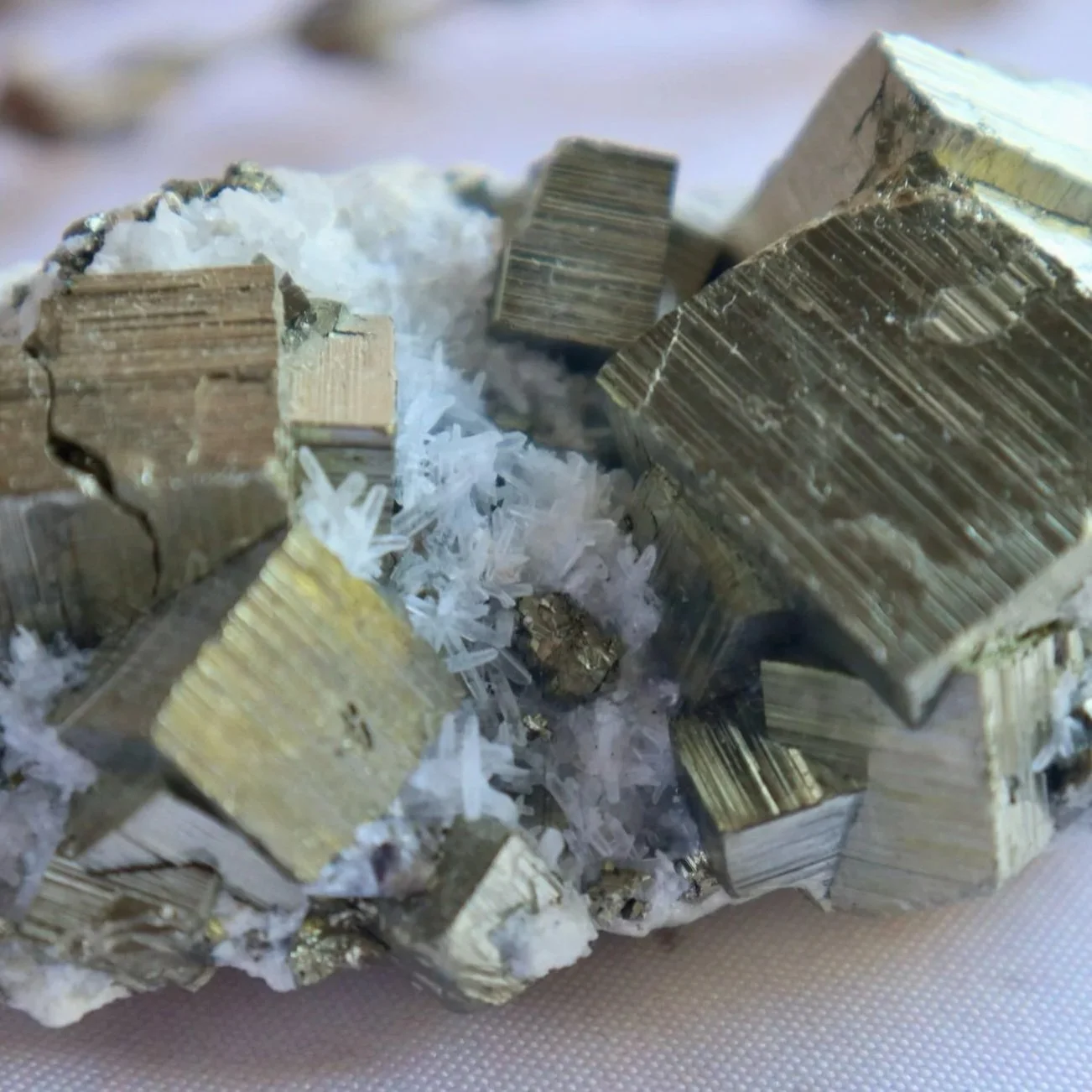 Pyrite in Quartz close up
