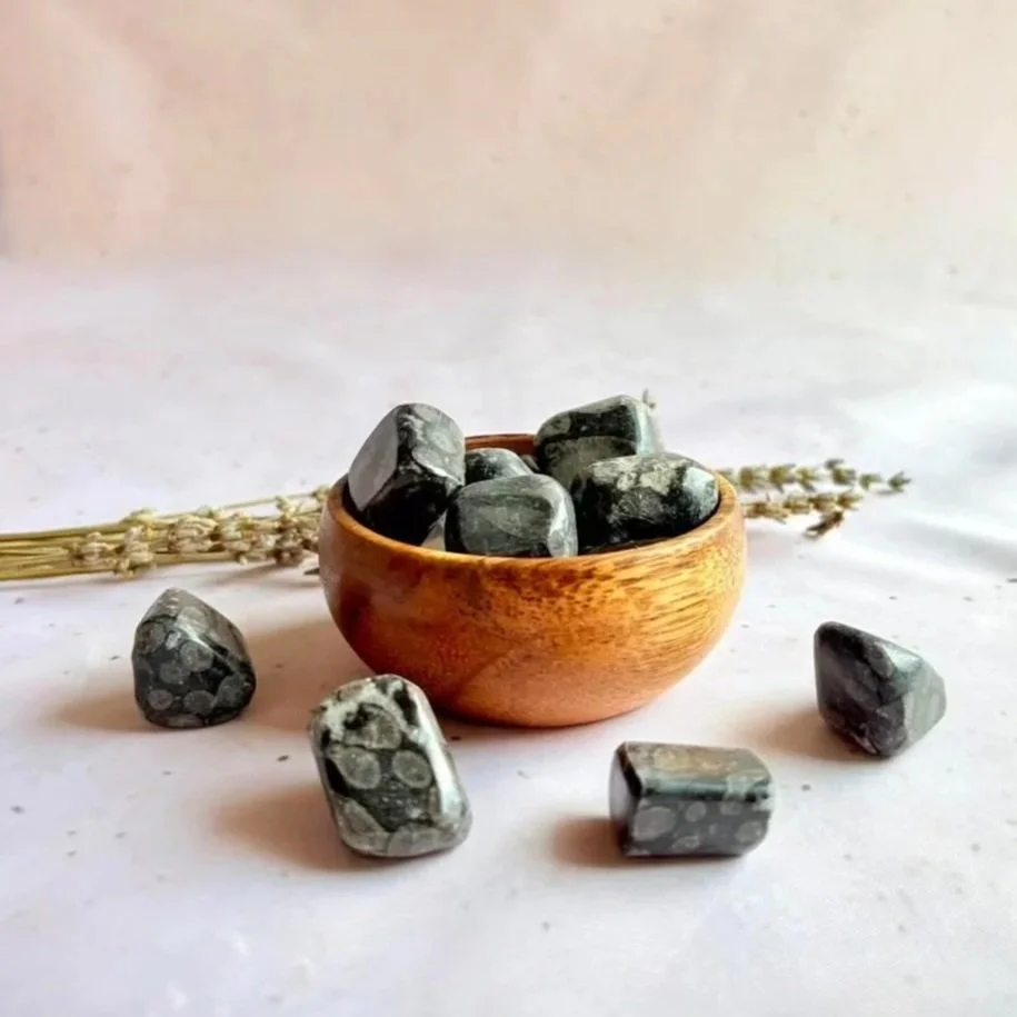 Natural Fossil Coral tumbled crystal with ancient coral patterns