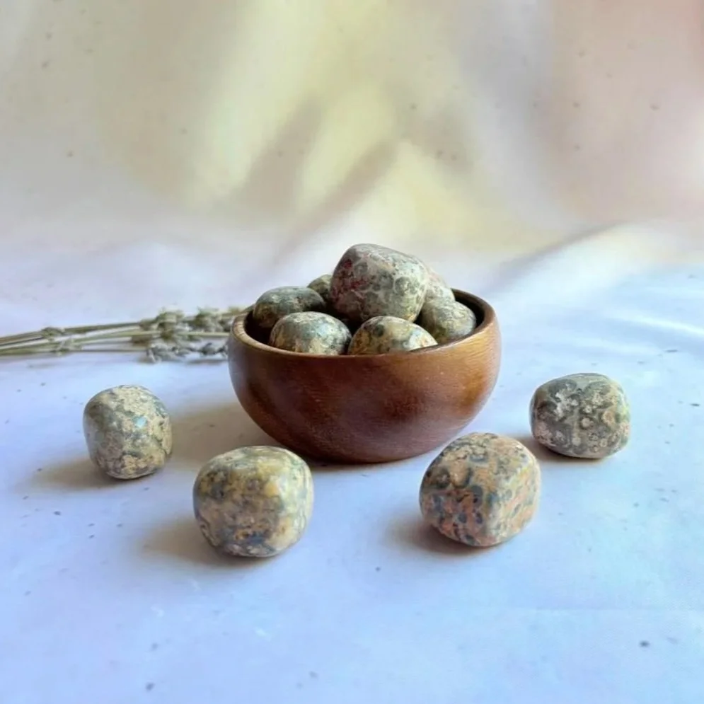 Leopard Skin Jasper tumble associated with grounding, strength, and personal growth