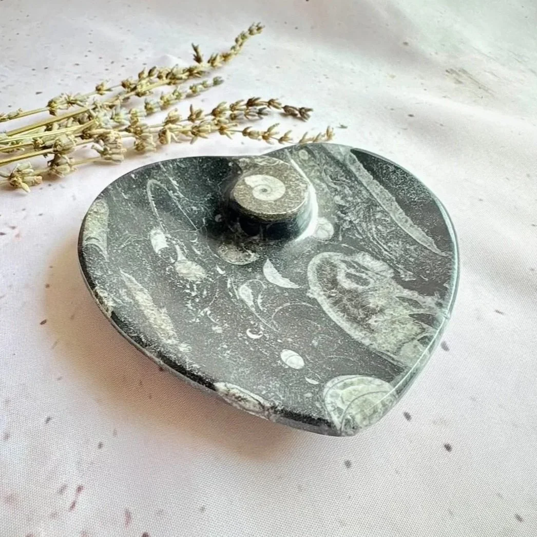 Heart-shaped fossil dish for holding jewellery, crystals, and keepsakes