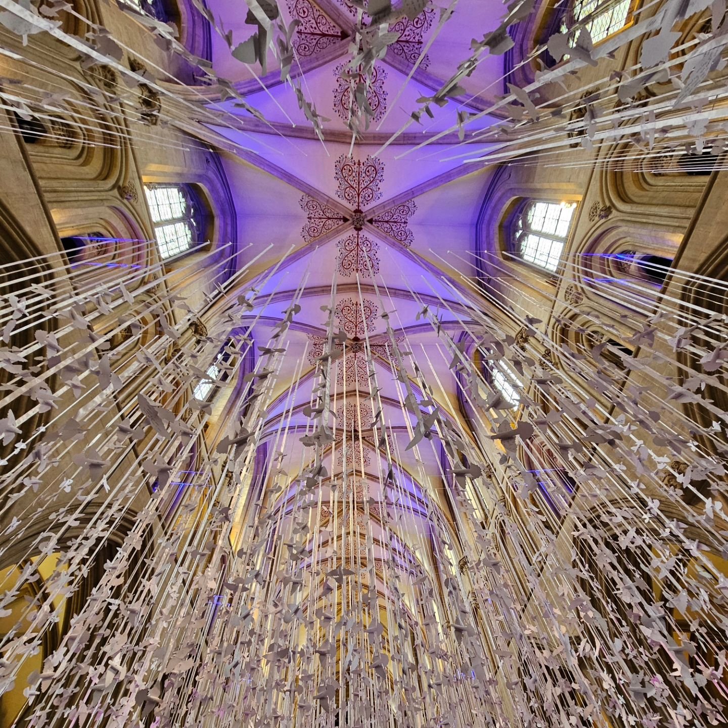 🕊 Peace Doves 🕊

A couple of months ago I wrote a little message on a dove at the cathedral and last weekend, I went to visit the beautiful display. It was absolutely incredible walking under the doves knowing that mine was up there alongside many 