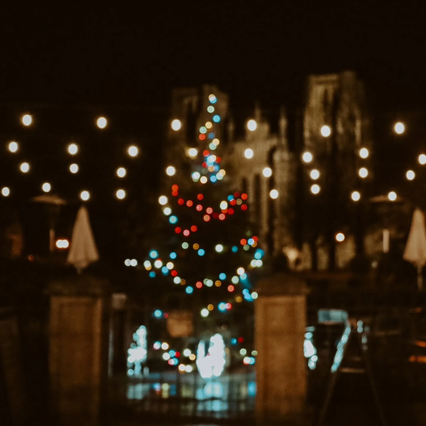 🎄 So glad I took time out this month to do an evening walk in Wells and enjoy my work camera and the lights! 😍

#wellssomerset #christmas #photography