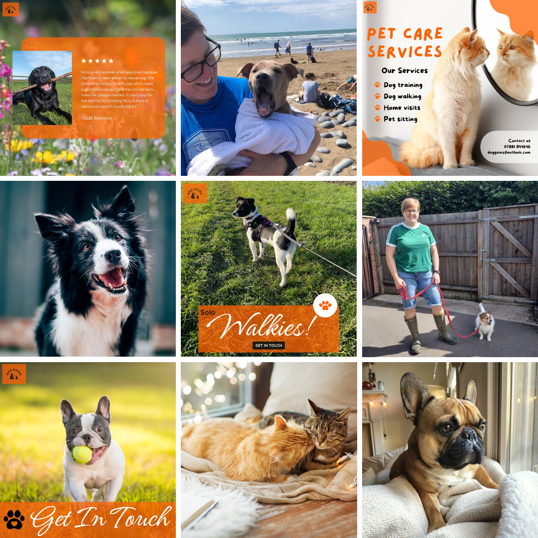 Copy of Dog Gainz Portfolio.png
