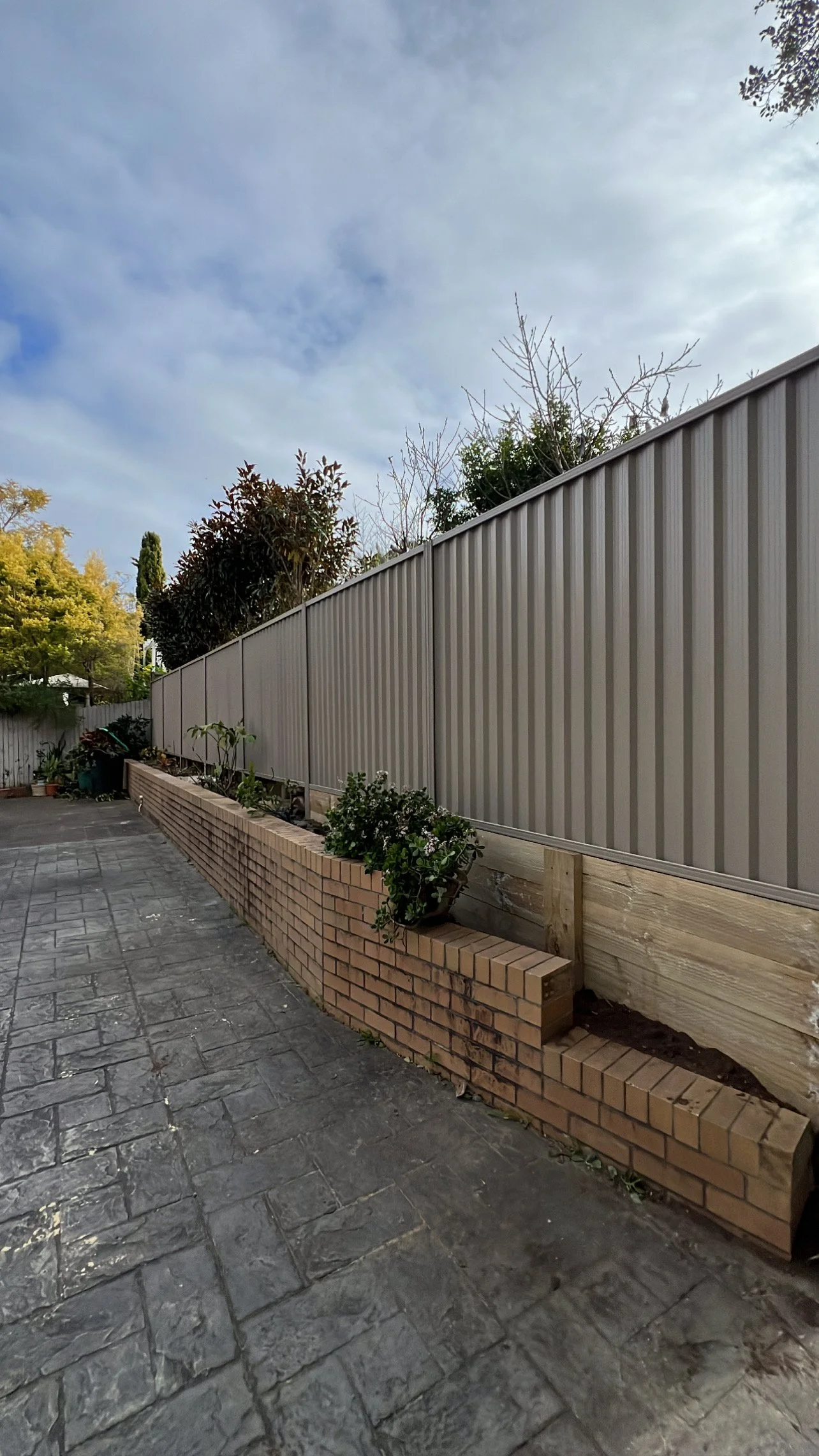 Photo 3-7-2023, 11 12 04 am.jpg