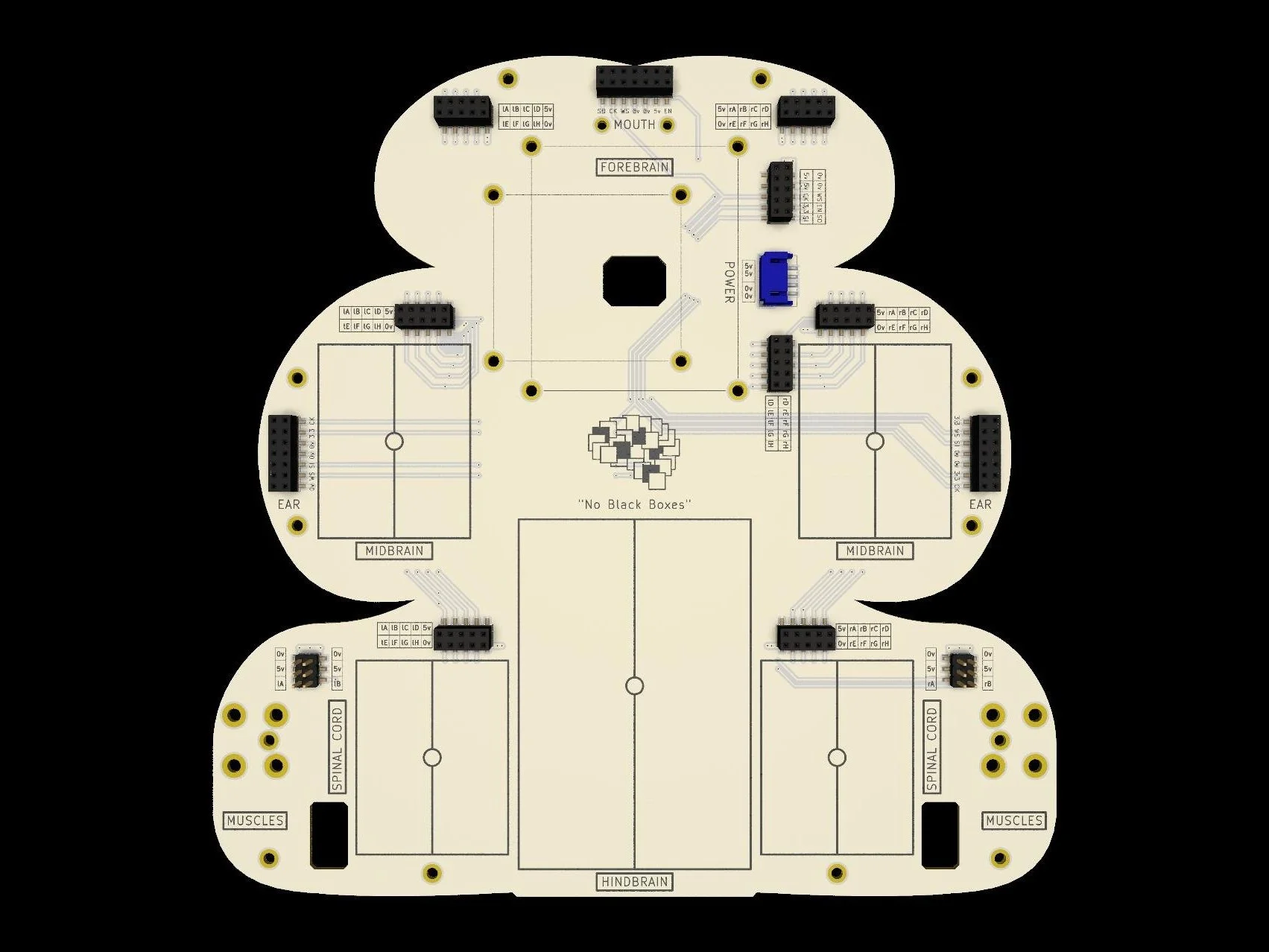 NB3_body_front_optimized+%281%29.jpg