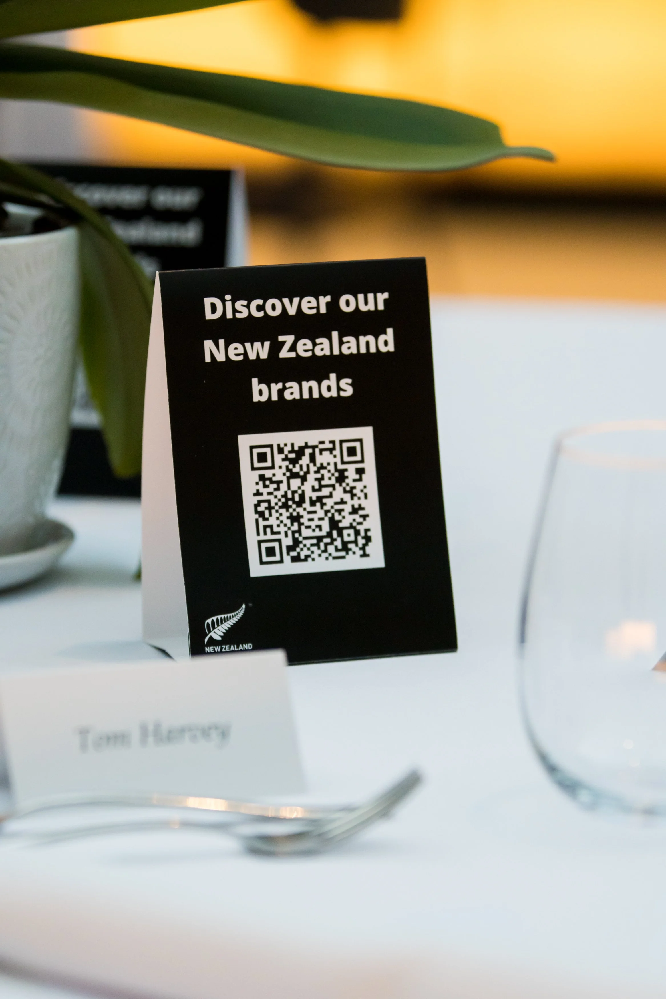 EXPO event branding 2 (1).jpg