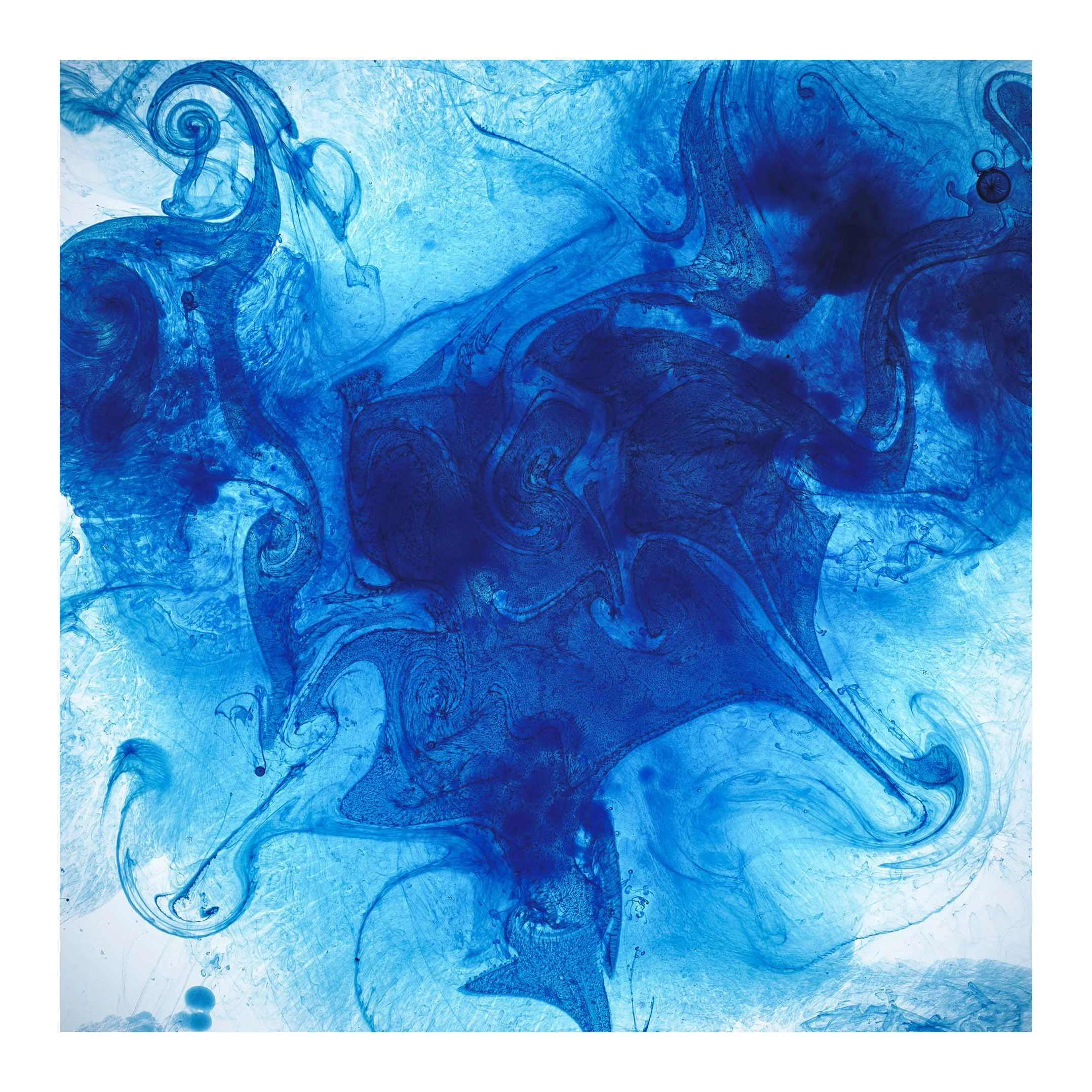           W INK - Wandan Boodjar
          