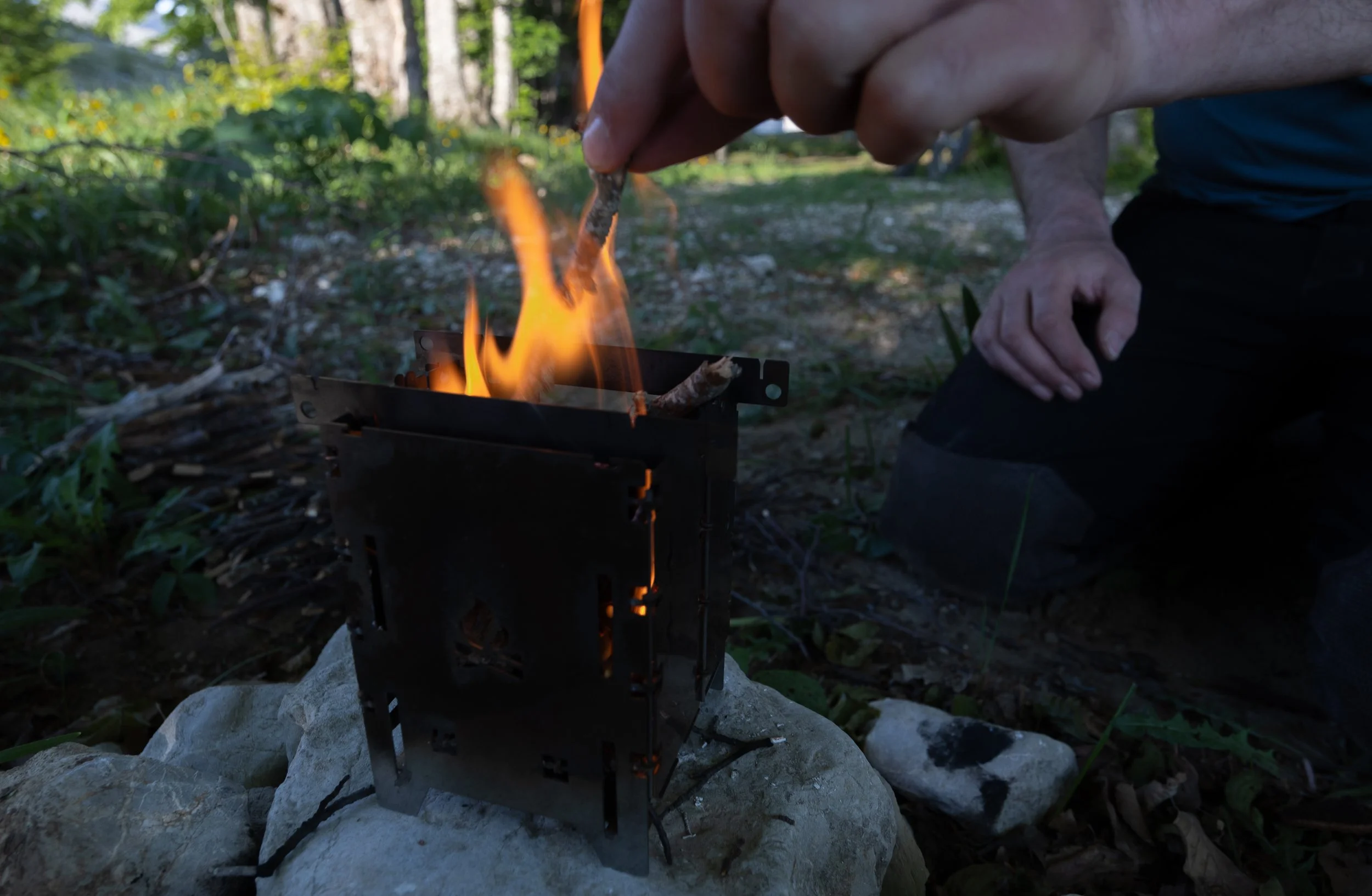 0J6A8260.jpg