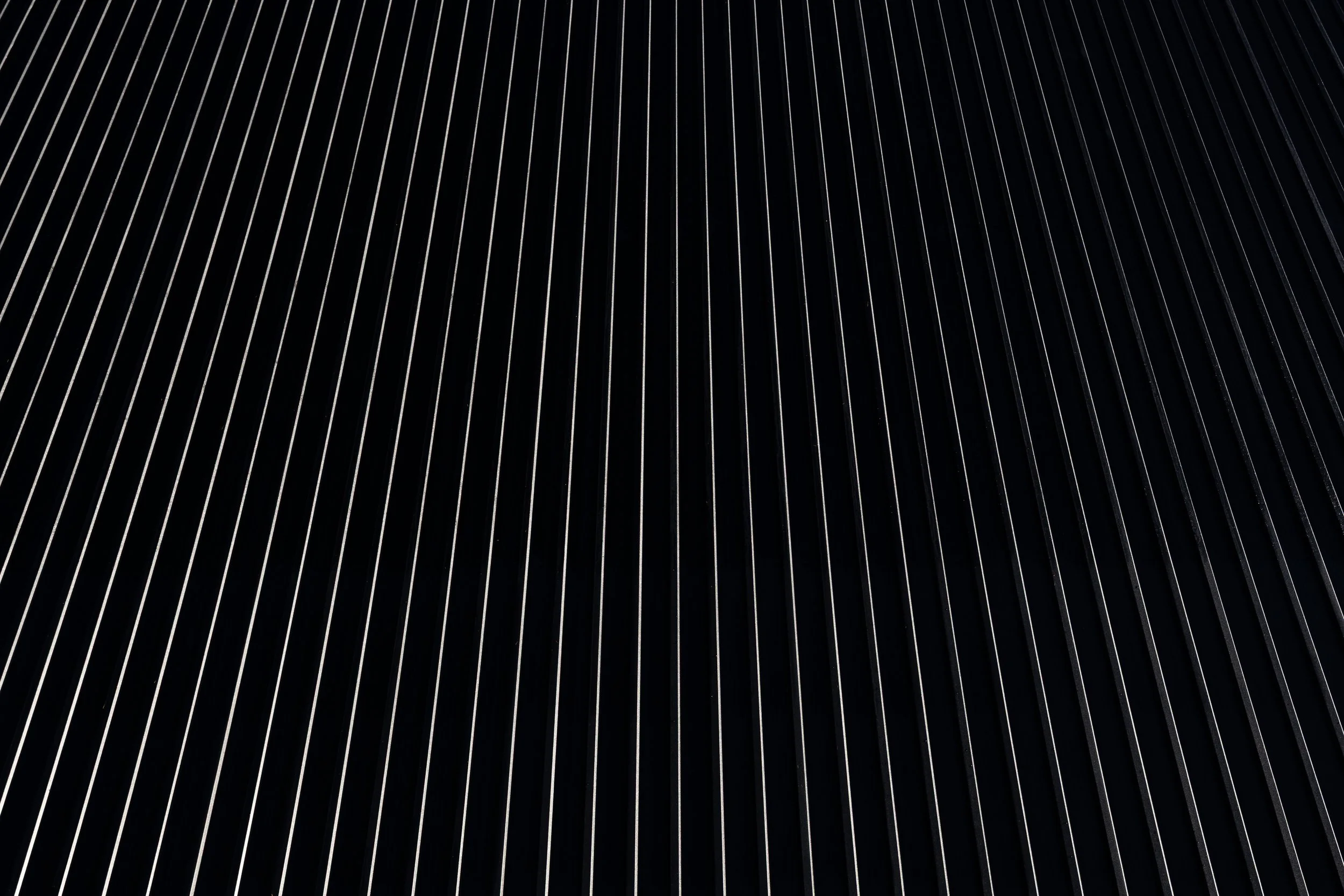 0J6A7049.jpg