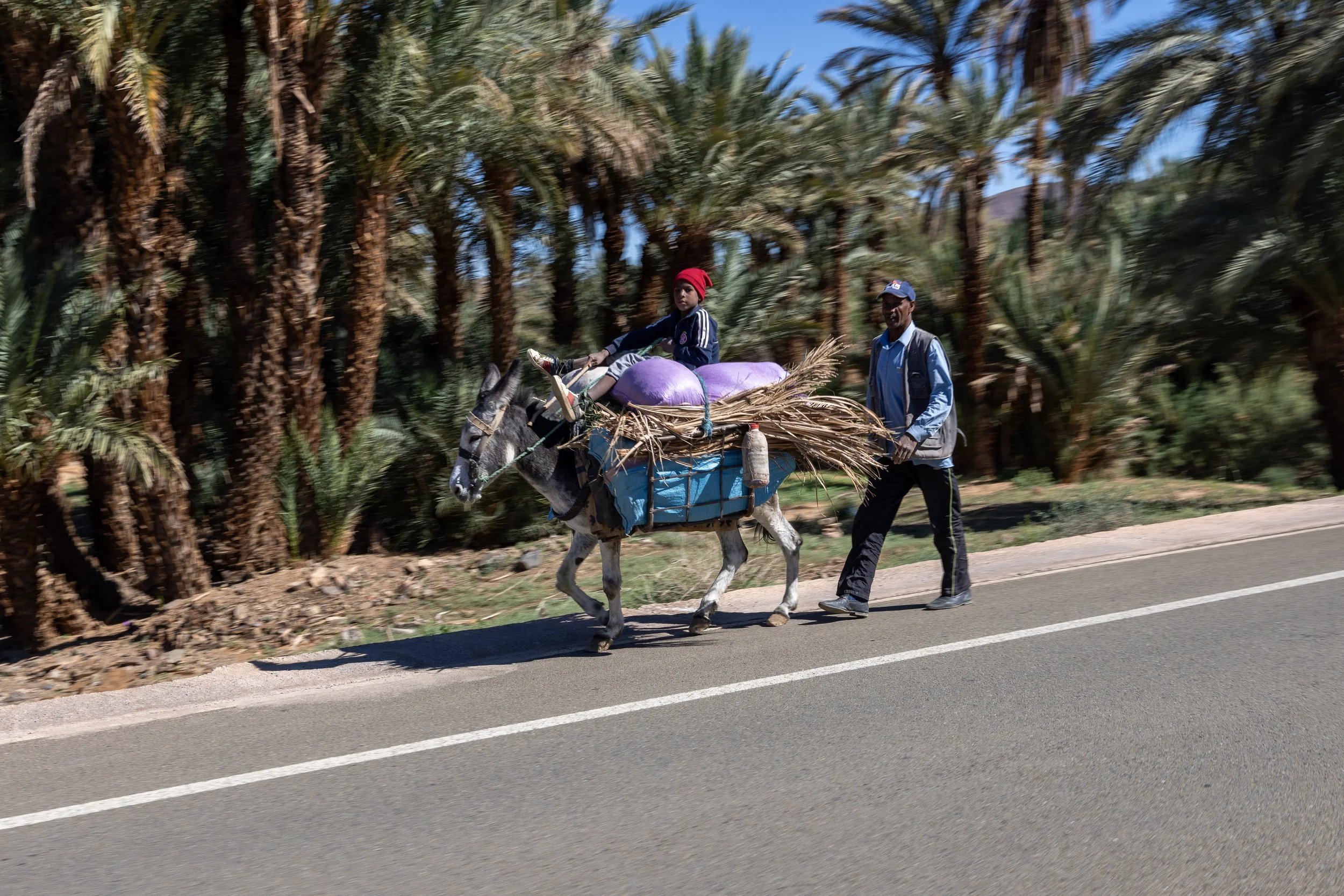Whilst Moroccan roads can be home to all sorts of exotic motorised adventure vehicles, the humble donkey is still a well used form of transport for those living in rural communities.