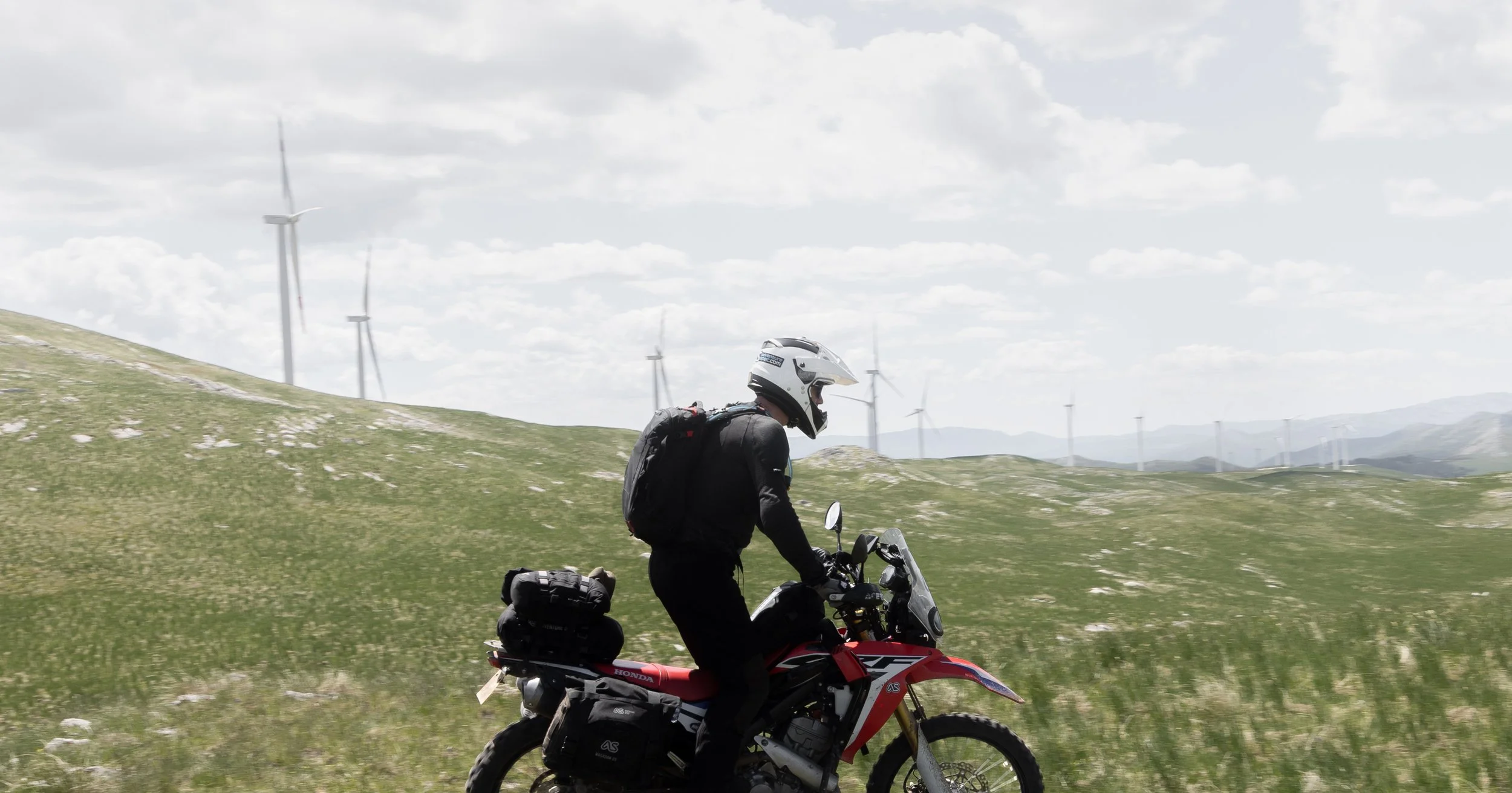 0J6A7961.jpg