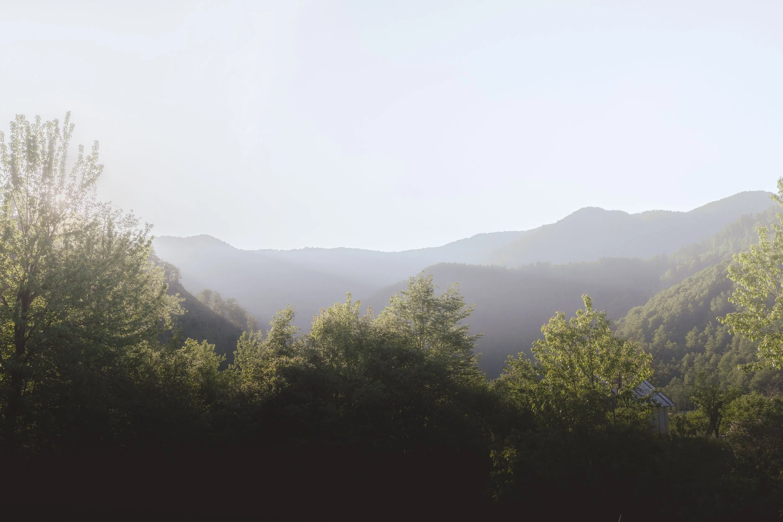 0J6A7018.jpg