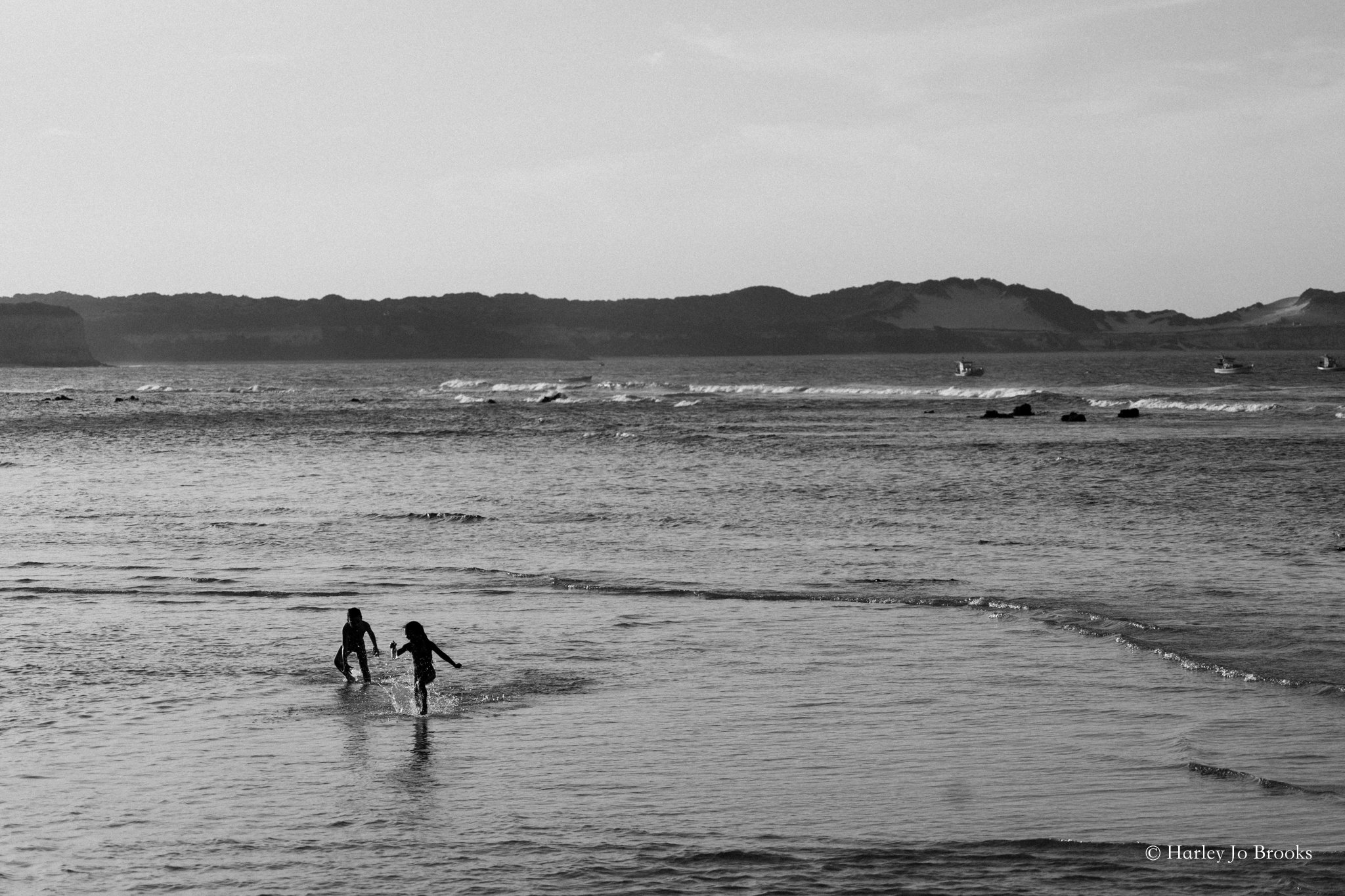 DSC01486.jpg