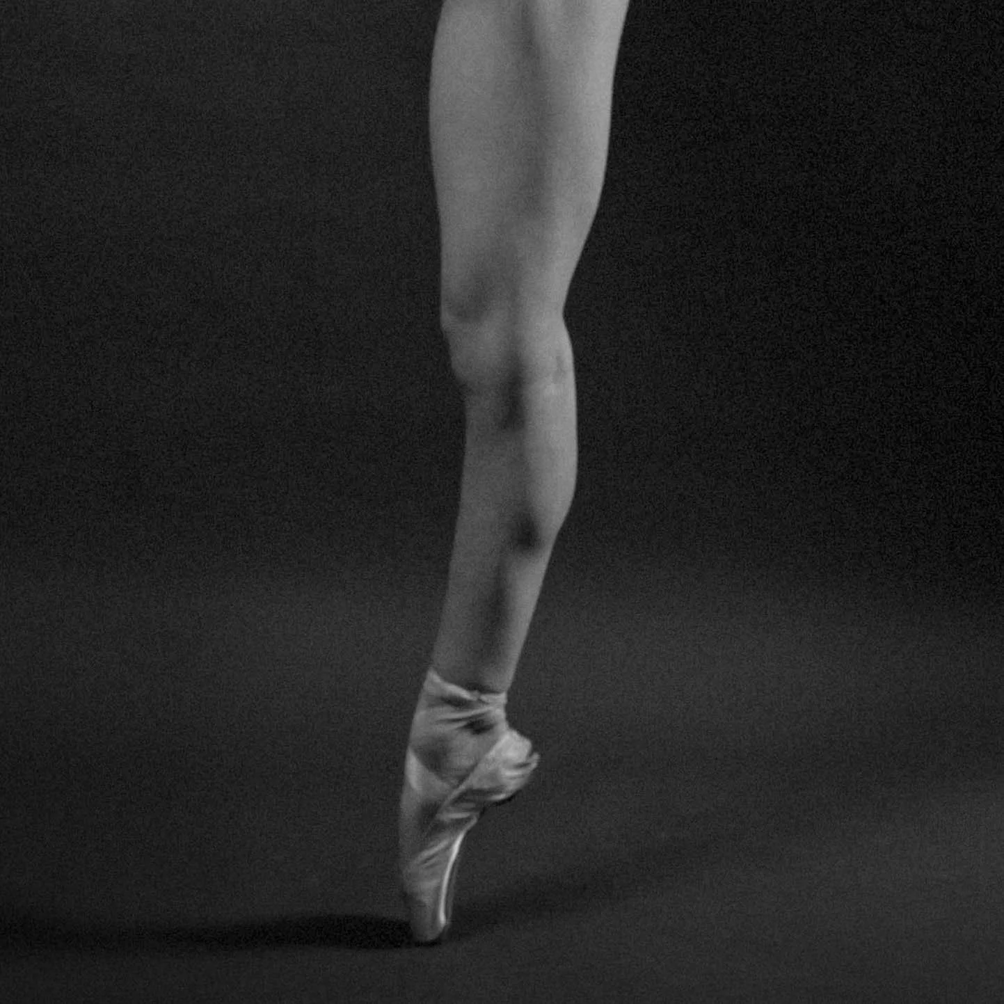 Legs-8.jpg