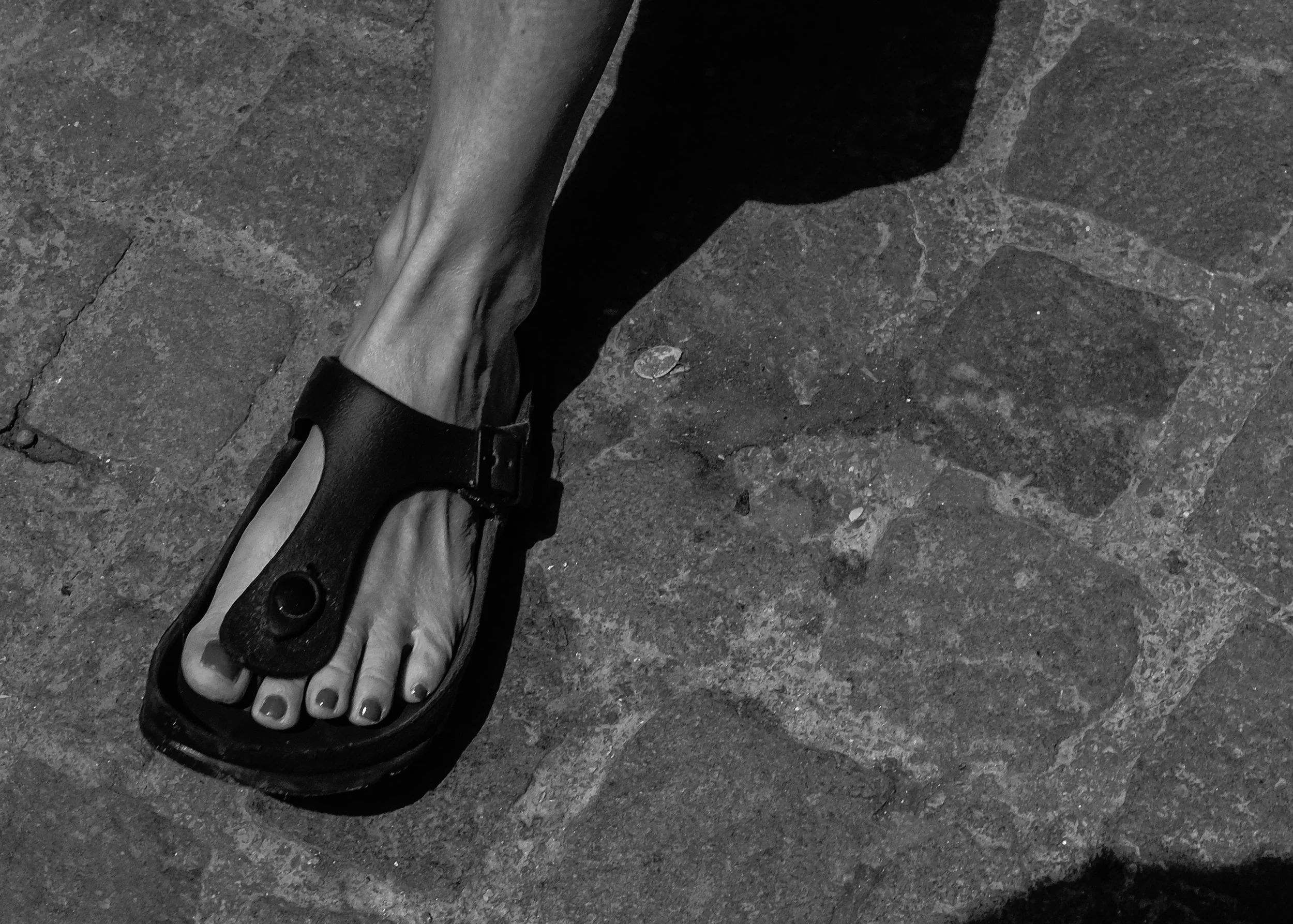 shadow steppers-2.jpg